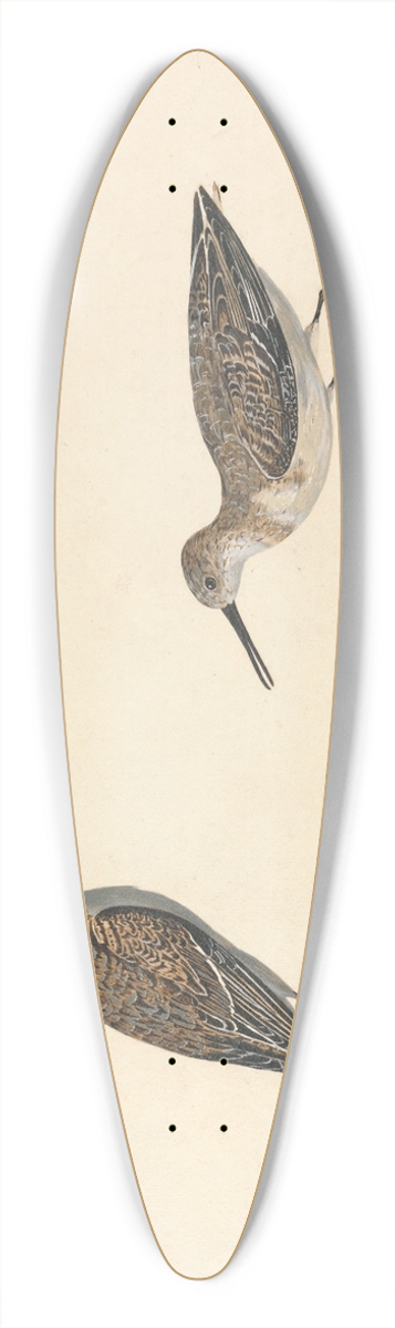 Charles Collins - A Pair of Stints 39.3 inch art pintail longboard deck