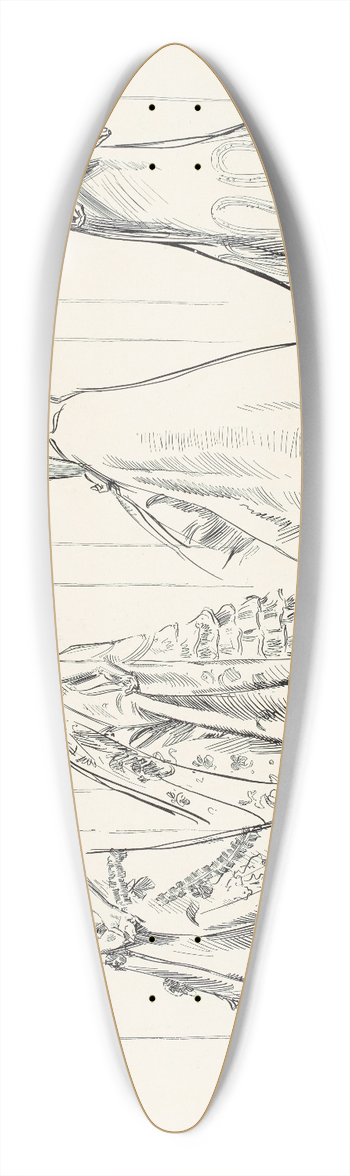 Charles Dana Gibson - People who will have their own way  The girl who refused us 39.3 inch art pintail longboard deck