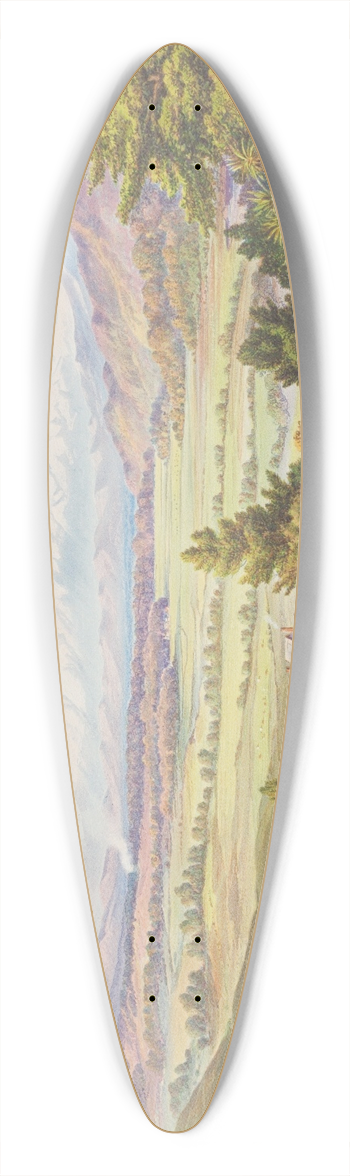 Charles Decimus Barraud - New Zealand Graphic and Descriptive. Rangitikei. 39.3 inch art pintail longboard deck
