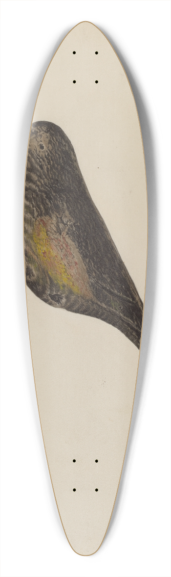 Charles Garjian - Decoy 39.3 inch art pintail longboard deck