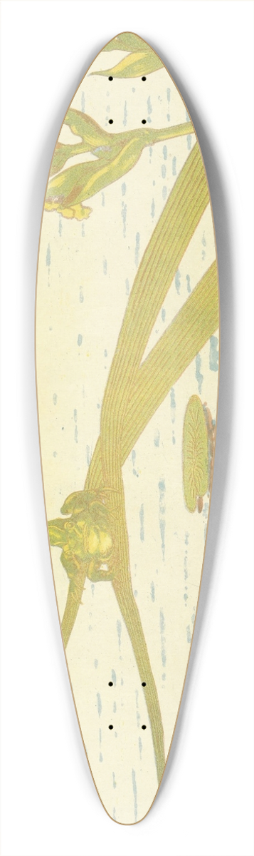 Charles-Louis Houdard - Grenouilles 39.3 inch art pintail longboard deck