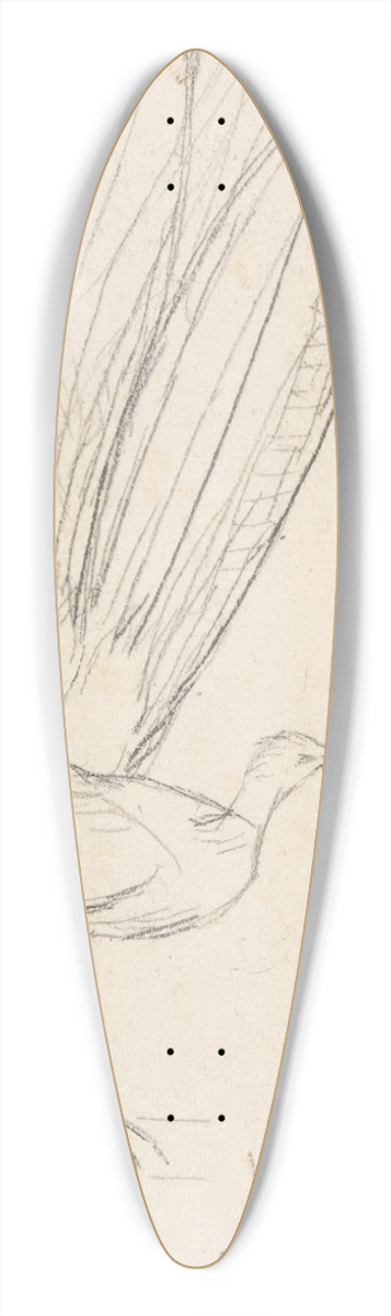 Charles Meryon - A Lyre Bird 39.3 inch art pintail longboard deck