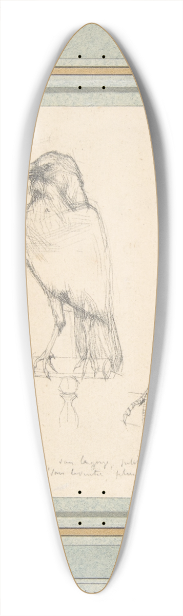 Charles Meryon - A Raven Perched on a Rail 39.3 inch art pintail longboard deck