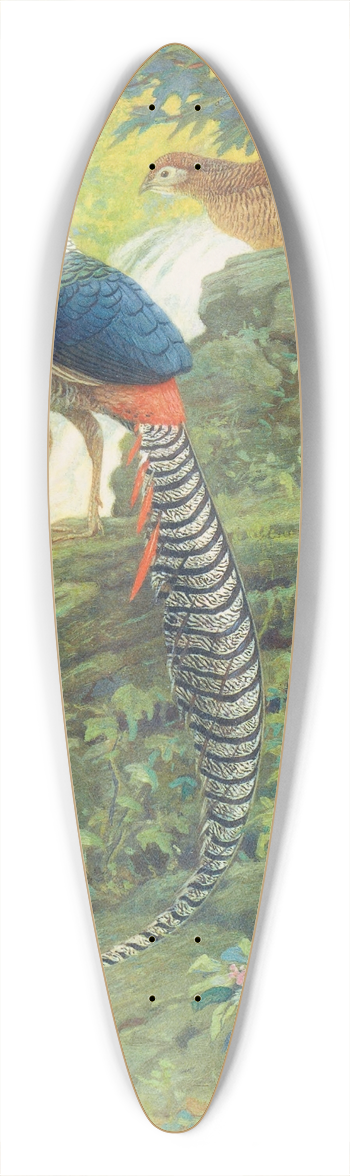 Charles Robert Knight - Lady Amherst Pheasant 39.3 inch art pintail longboard deck