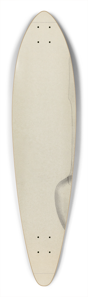 Charlotte Winter - Silver Spoon 39.3 inch art pintail longboard deck