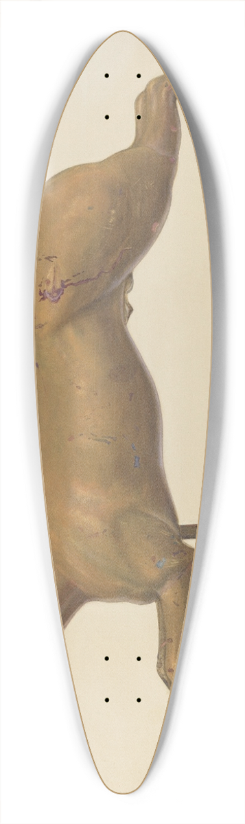 Chris Makrenos - Galloping Horse Weather Vane 39.3 inch art pintail longboard deck
