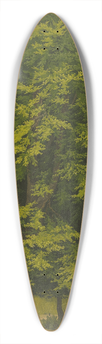 Christian Heerdt - Broadleaf forest (study in oil) 39.3 inch art pintail longboard deck