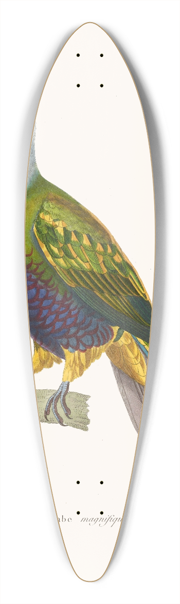 Coenraad Jacob Temminck - Colombe Magnifique. 39.3 inch art pintail longboard deck