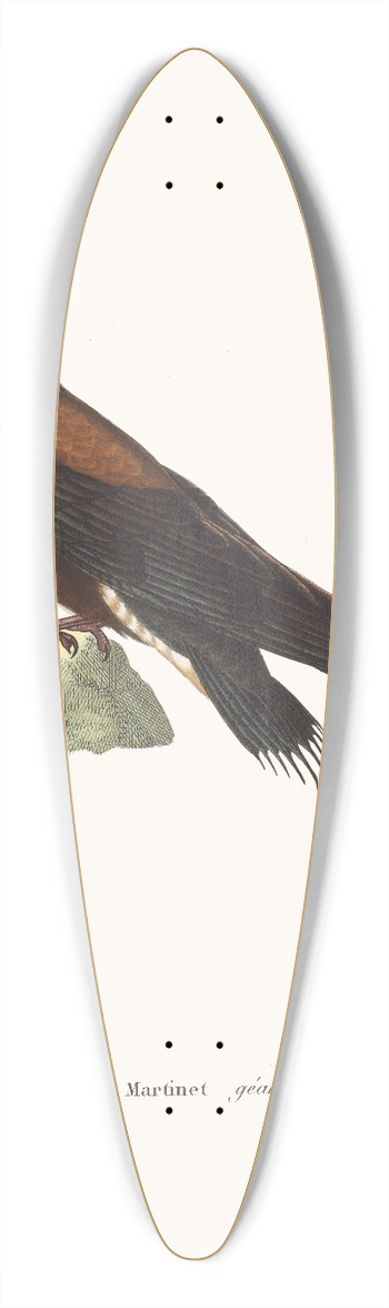 Coenraad Jacob Temminck - Martinet Gant. 39.3 inch art pintail longboard deck