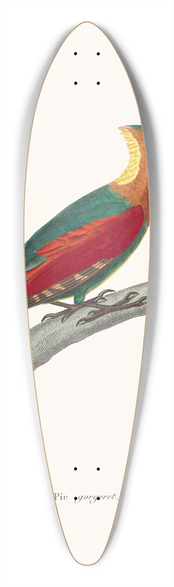 Coenraad Jacob Temminck - Pic Gorgeret 39.3 inch art pintail longboard deck