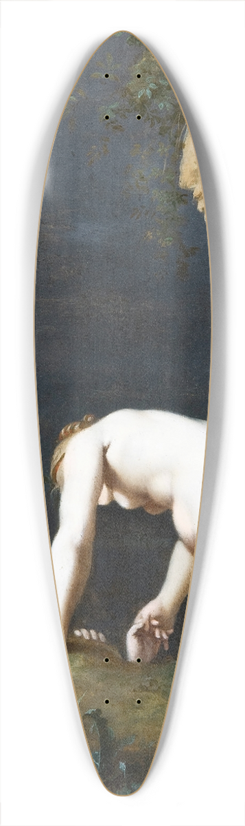 Cornelis Van Poelenburch - The Goddess Calypso rescues Ulysses 39.3 inch art pintail longboard deck