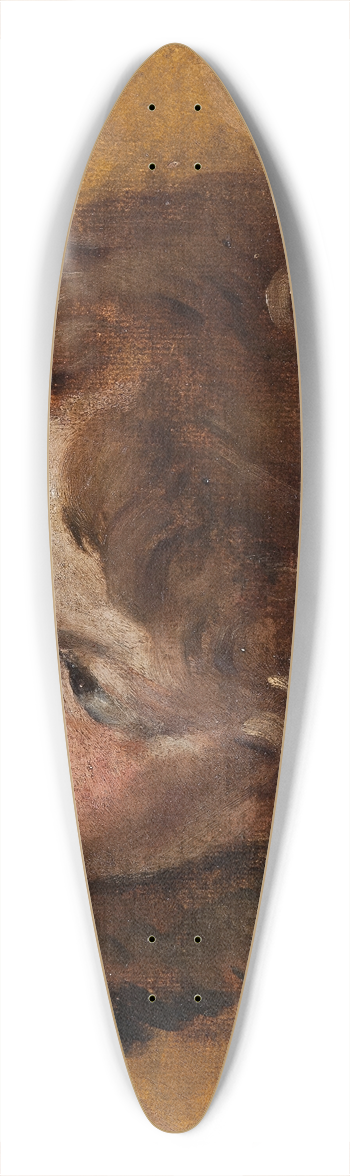 Daniele Crespi - Head of a Cherub 39.3 inch art pintail longboard deck