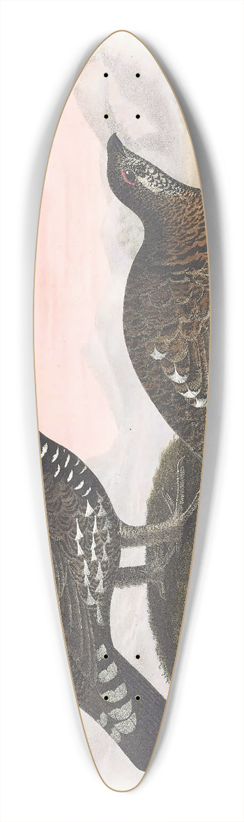 Daniel Giraud Elliot - Franklins Grouse 39.3 inch art pintail longboard deck