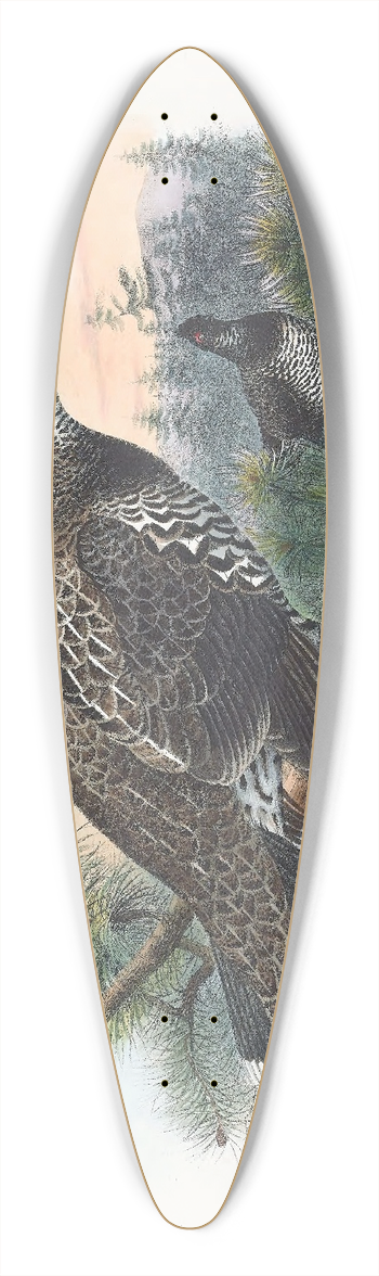 Daniel Giraud Elliot - Hartlaubs Spruce Grouse 39.3 inch art pintail longboard deck