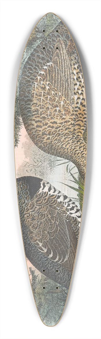 Daniel Giraud Elliot - Spruce Grouse 39.3 inch art pintail longboard deck