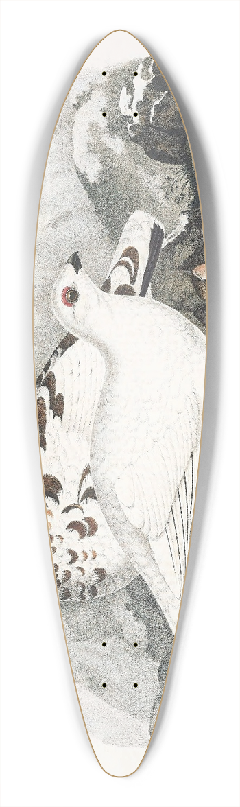 Daniel Giraud Elliot - Willow Grouse 39.3 inch art pintail longboard deck