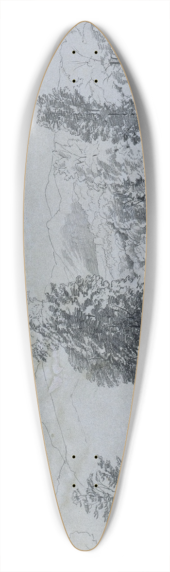 David Johnson - Bouquet River 39.3 inch art pintail longboard deck