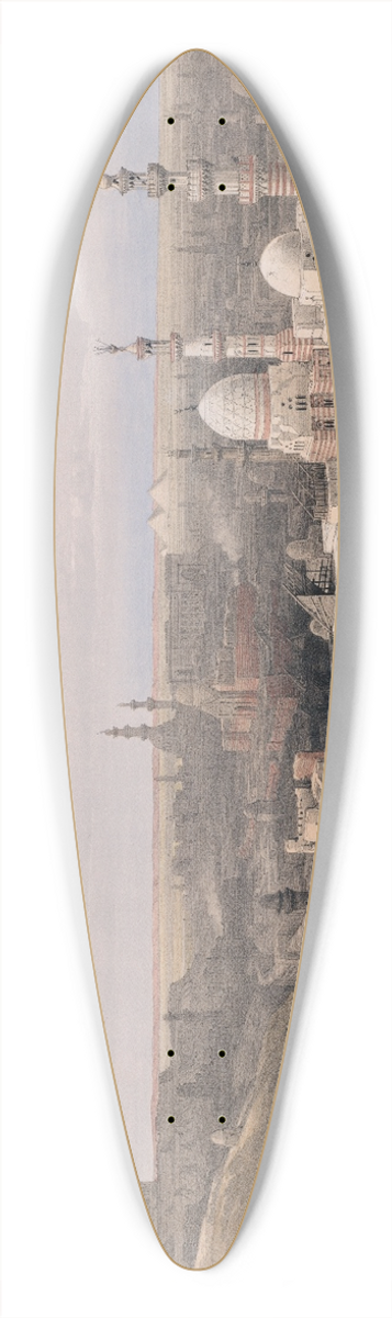 David Roberts - Cairo; looking west. 39.3 inch art pintail longboard deck