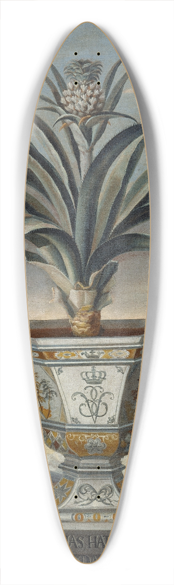 David von Cln - Pineapple plant 39.3 inch art pintail longboard deck