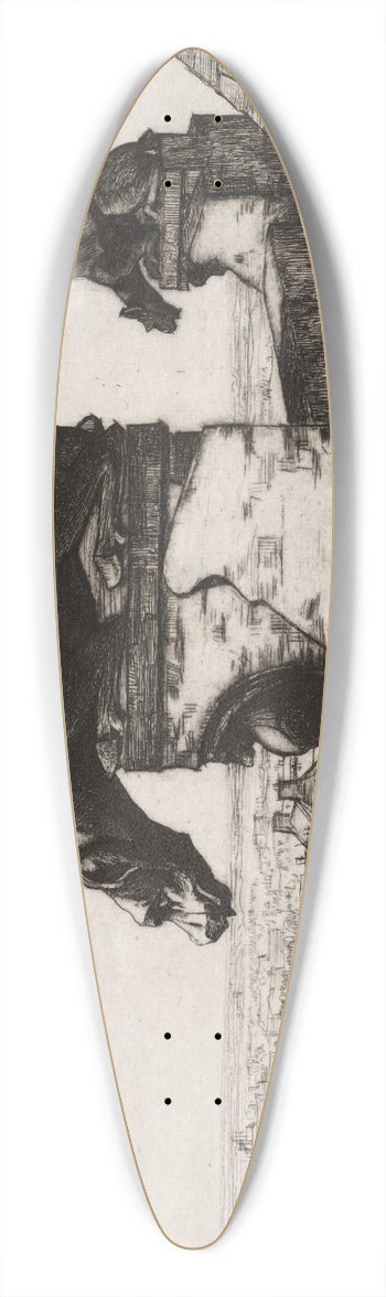David Young Cameron - The Wingless Chimera 39.3 inch art pintail longboard deck