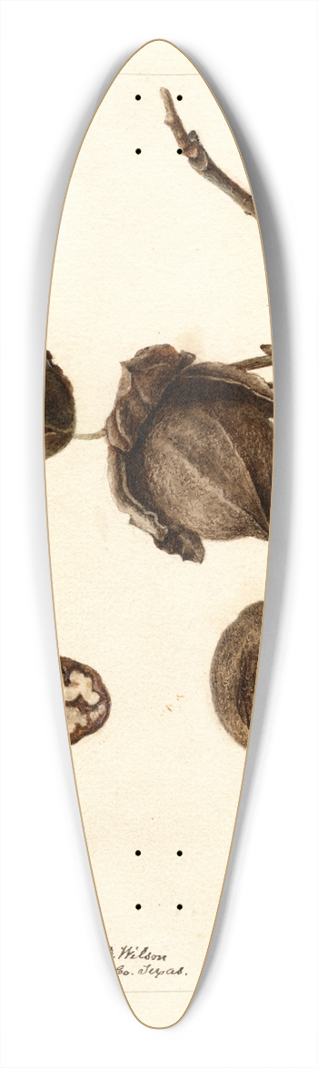 Deborah Griscom Passmore - Carya: Wilson Hybrid 39.3 inch art pintail longboard deck