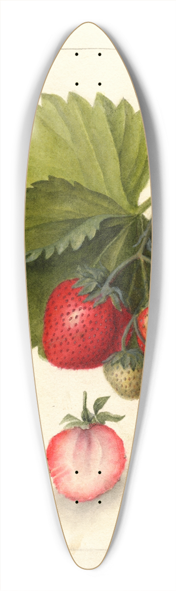 Deborah Griscom Passmore - Fragaria: Dayton 39.3 inch art pintail longboard deck