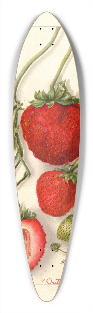 Deborah Griscom Passmore - Fragaria: Outlander 39.3 inch art pintail longboard deck