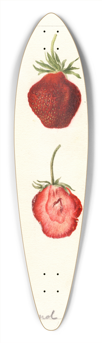 Deborah Griscom Passmore - Fragaria: Seaford 39.3 inch art pintail longboard deck