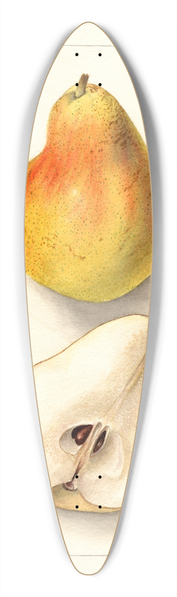 Deborah Griscom Passmore - Pyrus communis: Dorsett 39.3 inch art pintail longboard deck