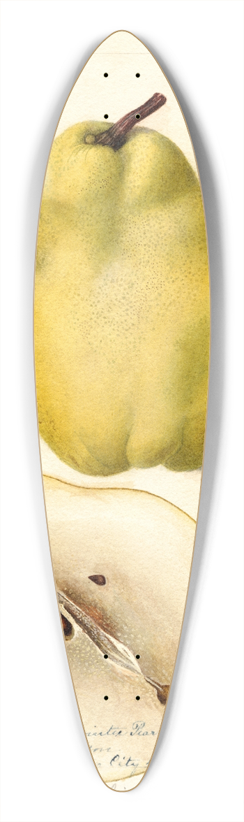 Deborah Griscom Passmore - Pyrus communis: Johnsons Nameless Winter 39.3 inch art pintail longboard deck