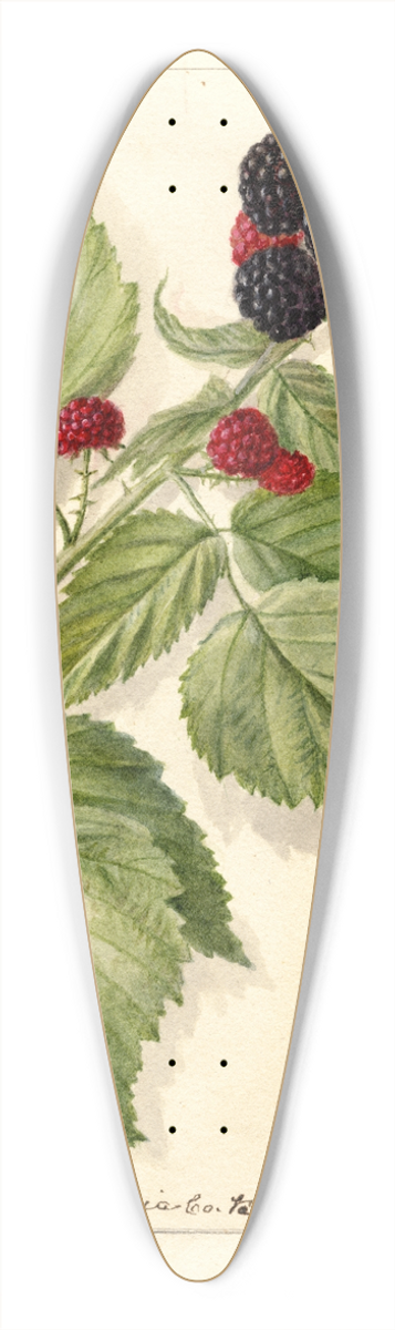 Deborah Griscom Passmore - Rubus: Conrath 39.3 inch art pintail longboard deck