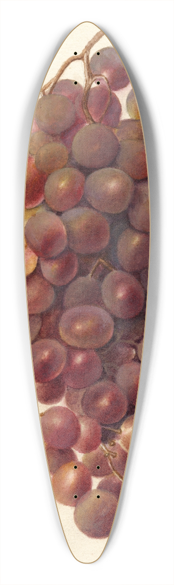 Deborah Griscom Passmore - Vitis: Hycales 39.3 inch art pintail longboard deck