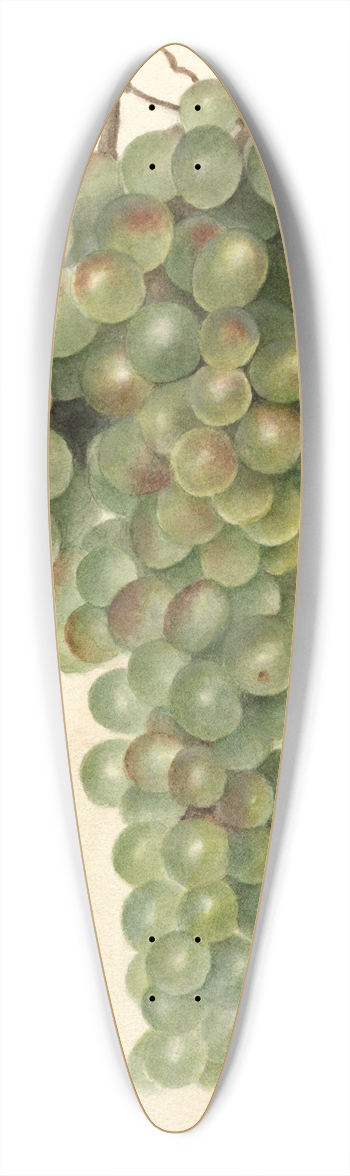 Deborah Griscom Passmore - Vitis: Malaga 39.3 inch art pintail longboard deck
