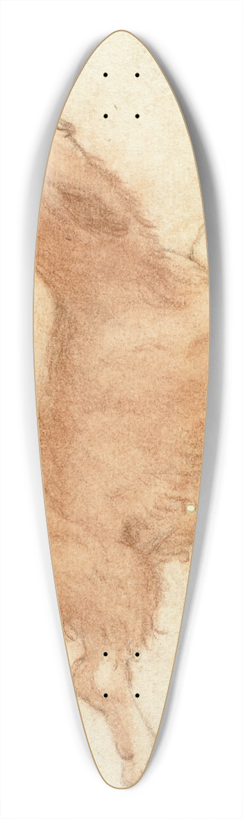 Dirk Valkenburg - Growling Dog Ready to Pounce 39.3 inch art pintail longboard deck