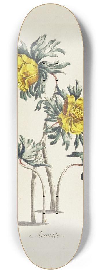 Carington Bowles - Aconite 8.25 inch art skate deck
