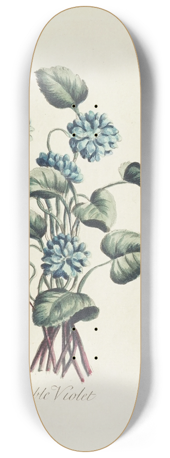 Carington Bowles - Double violet 8.25 inch art skate deck