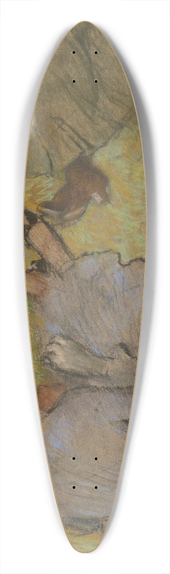 Edgar Degas - Femmes assises sur lherbe 39.3 inch art pintail longboard deck
