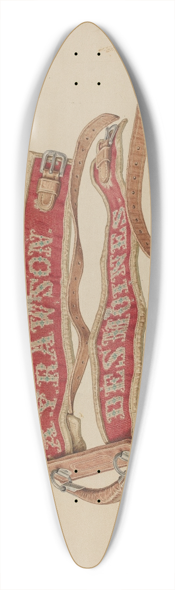 Edward Bashaw - Bundle Carrier 39.3 inch art pintail longboard deck