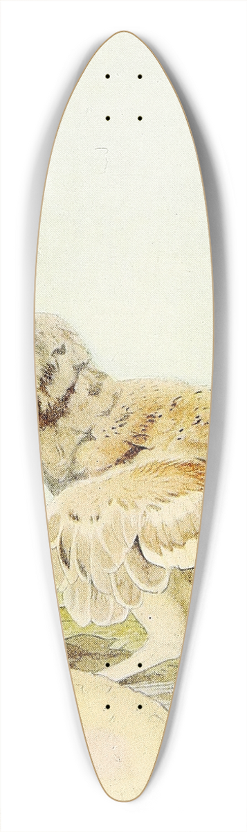 Edward Julius Detmold - The Capercailzie 39.3 inch art pintail longboard deck