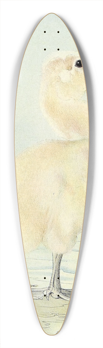Edward Julius Detmold - The Cygnet 39.3 inch art pintail longboard deck