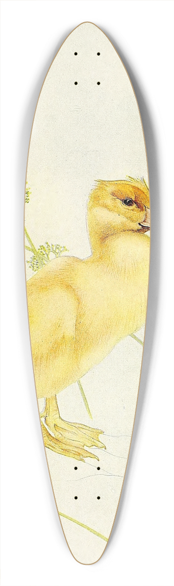 Edward Julius Detmold - The Duckling 39.3 inch art pintail longboard deck