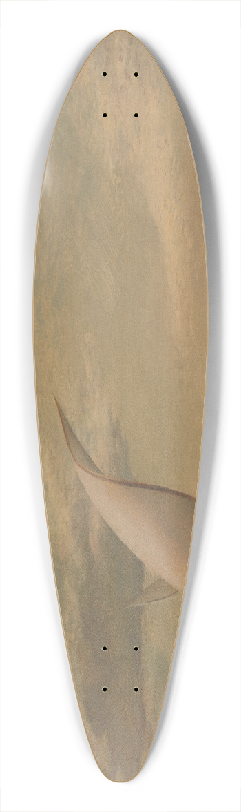 Edward William Cooke - On the Nile 39.3 inch art pintail longboard deck