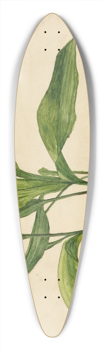Egon Schiele - Topfpflanze (Schlerarbeit) 39.3 inch art pintail longboard deck