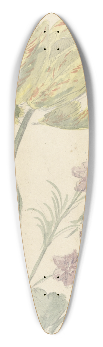 Elias van Nijmegen - Studie van een gele tulp en een andere plant 39.3 inch art pintail longboard deck