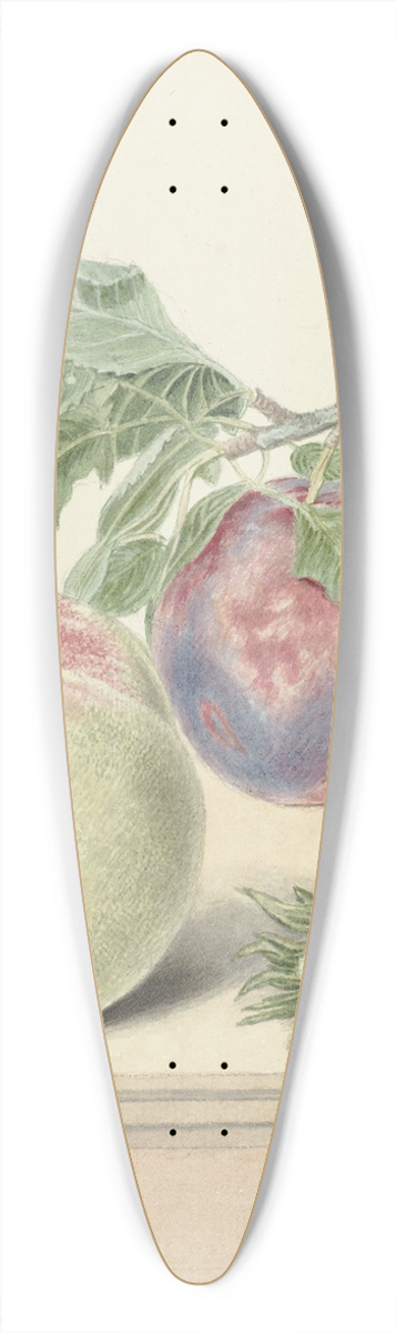 Elisabeth Geertruida van de Kasteele - Perzik, een pruim met blad en een paar noten, after Michiel van Huysum 39.3 inch art pintail longboard deck
