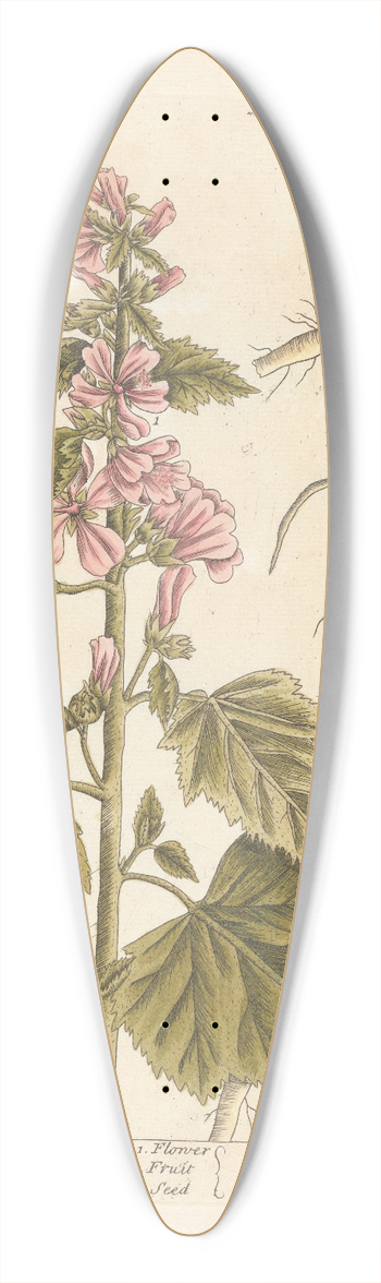 Elizabeth Blackwell - Marshmallows 39.3 inch art pintail longboard deck