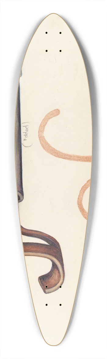 Elizabeth Johnson - Branding Iron 39.3 inch art pintail longboard deck