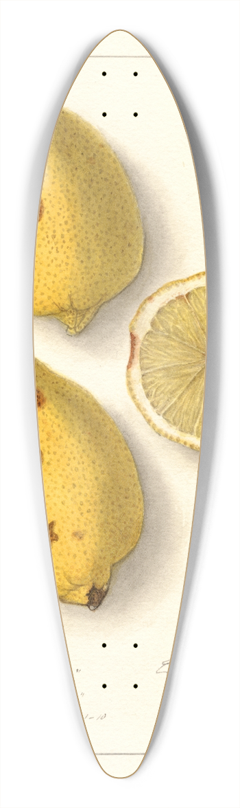 Ellen Isham Schutt - Citrus limon 39.3 inch art pintail longboard deck