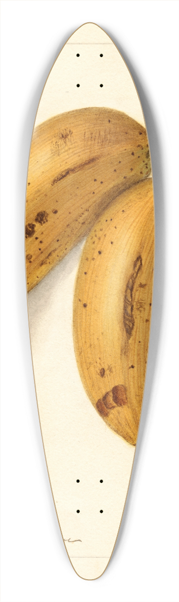 Ellen Isham Schutt - Musa: Dacca 39.3 inch art pintail longboard deck