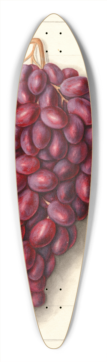 Ellen Isham Schutt - Vitis: Ajun 39.3 inch art pintail longboard deck